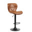 Nanafalia Swivel Upholstered Adjustable Height Counter Stool with Metal Frame-326928432