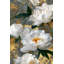 Papier peint floral, luxueuse murale décorative dorée