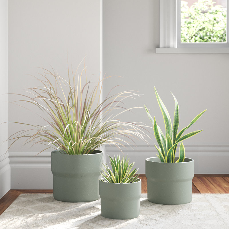 Mushroom Set of Three Ceramic Planters - 10" x 10" x 9", Green