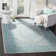 Alisa Performance Oriental Rug