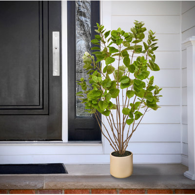 Arbre à fumée en pot 4 'UV