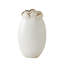 Sand Dollar Vase-White-Lg-328976873