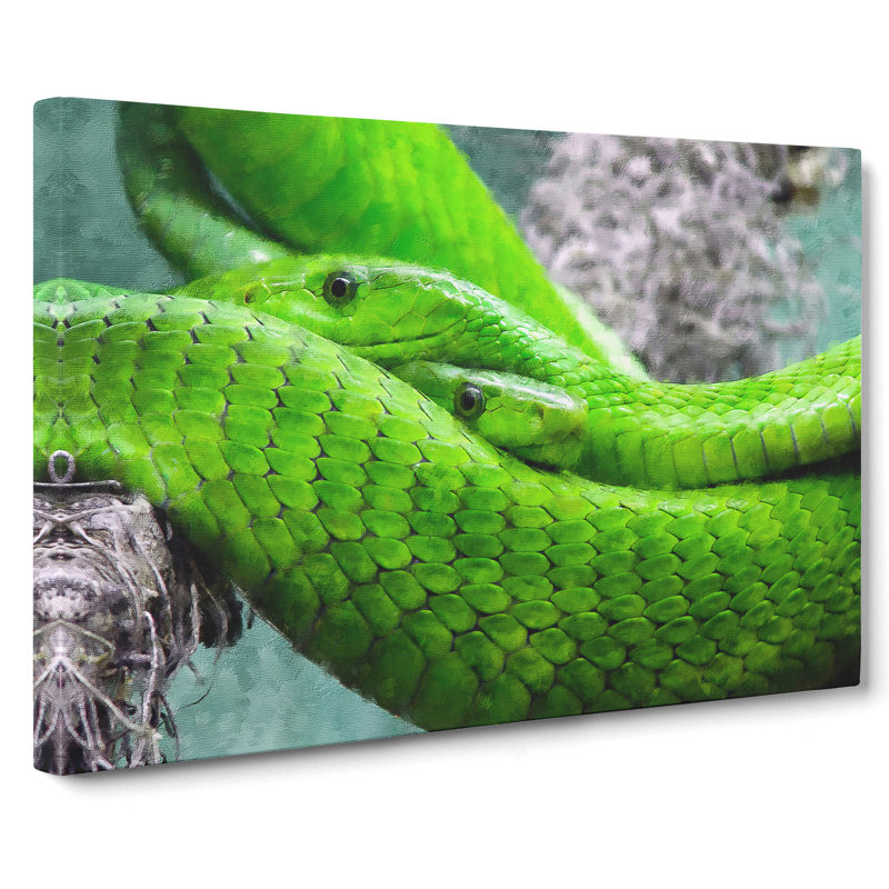 Green Mamba Snakes - Wrapped Canvas Print, 50cm H x 76cm W x 3cm D