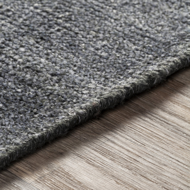 Altessa Viscose Indoor Rug, Rectangle 2' x 3'