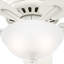 Ventilateur de plafond standard à 5 pales de 52 po avec chaîne de traction et ensemble d'éclairage inclus Newsome-56420828
