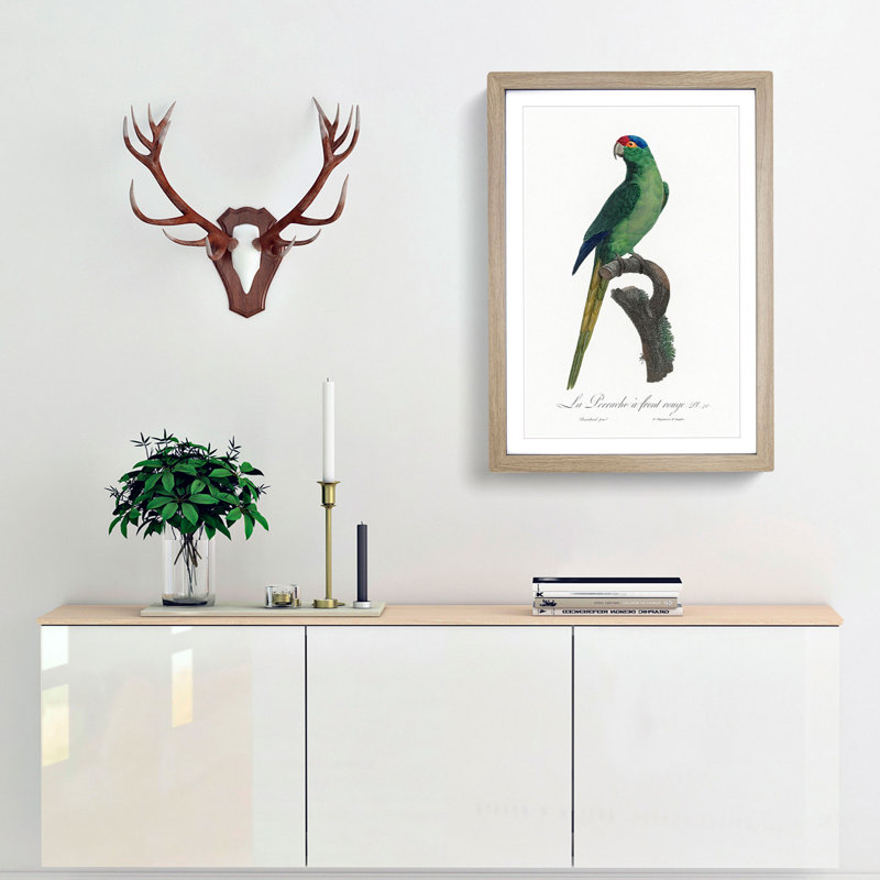 Red-Crowned Parakeet by F. Levaillant - Picture Frame Painting Print, Oak Framed, 36cm H x 27cm W x 2cm D