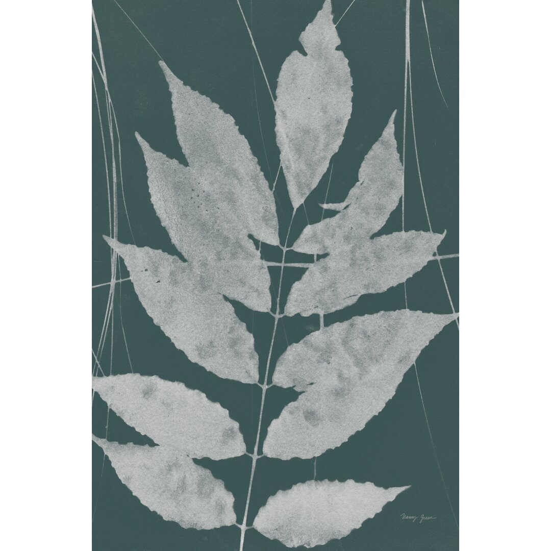 Leinwandbild Enchanted Fall Cyanotype IX Crop von Nancy Green