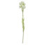 Pack of 6 x 60cm White Starflower