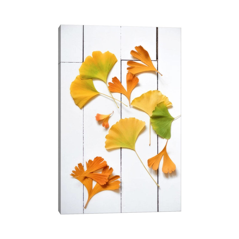 Ginkgo Fun 1 Piece Wrapped Canvas Wall Art, 101.6 cm H x 66.04 cm W x 1.91 cm D