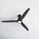 Tracey 70'' Ceiling Fan with LED Lights