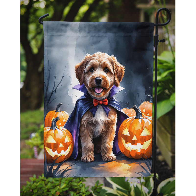 Drapeau de jardin chiot Halloween, Chocolat Labradoodle