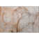 Premium Machine Washable Cerrito AMF508 Taupe 8' x 8' Round Rug