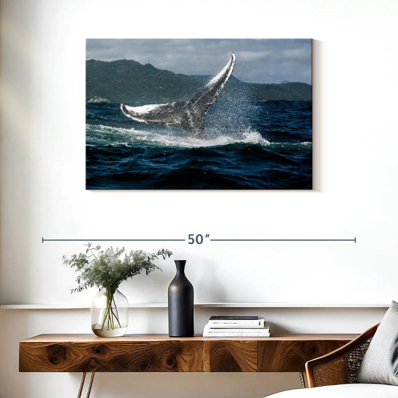 Brampt Samana Humpback Whale