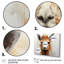 Alpaga Curious Alpaca - imprimé-988962395-988962396