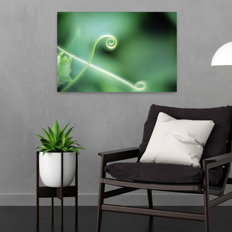 Gros plan sur une plante verte spirale recroquevillée, art mural contemporain, H 16 po x l 24 po
