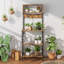 60Cm Steel Standard Baker's Rack with Microwave Compatibility-1588406351