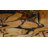 Pioneer Indoor Rug-519574664