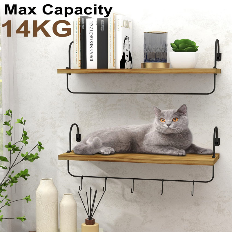 Protaras 2 Piece Floating Shelf, Natural Wood
