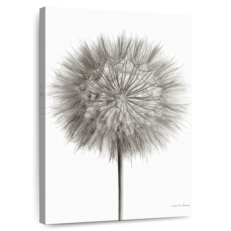 Dandelion Fluff On White, 51" H x 34" W