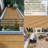 20 PCS Interlocking Deck Tiles Striped Pattern-105121980