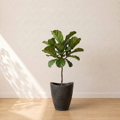 Vinisha ECOBO EcoFriendly Round Pot Planter, Onda IndoorOutdoor use, Four Season Use