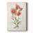 Botanical I -Custom Wrapped Gallery Cavas-1242953789