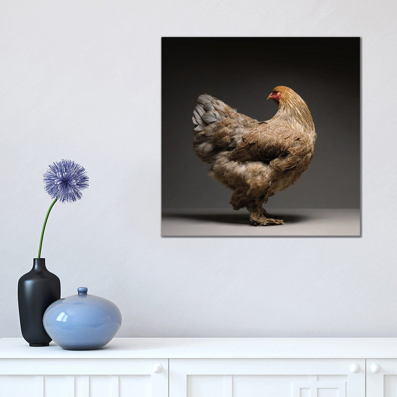 Brahma by CHICken - Wrapped Canvas Print, 45.72 cm H x 45.72 cm W x 1.91 cm D
