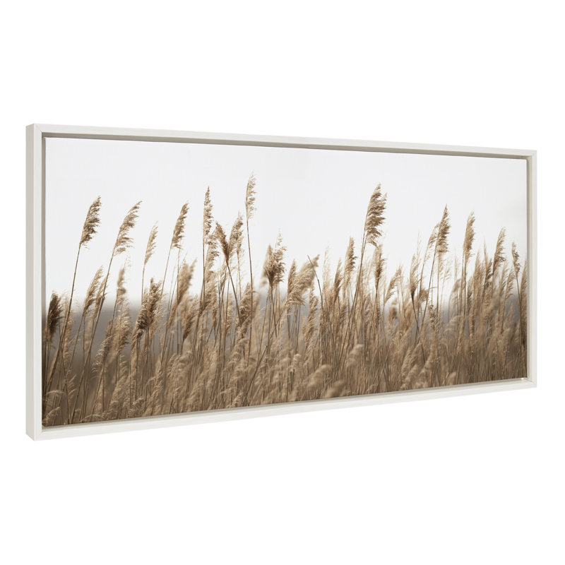 Marsh Grass No 14 by Crystal Lynn Collins Framed Canvas Wall Art Print