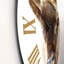 Portrait de bison sauvage - horloge murale de ferme-60186678