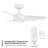 38'' Ceiling Fan with LED Lights-83109810