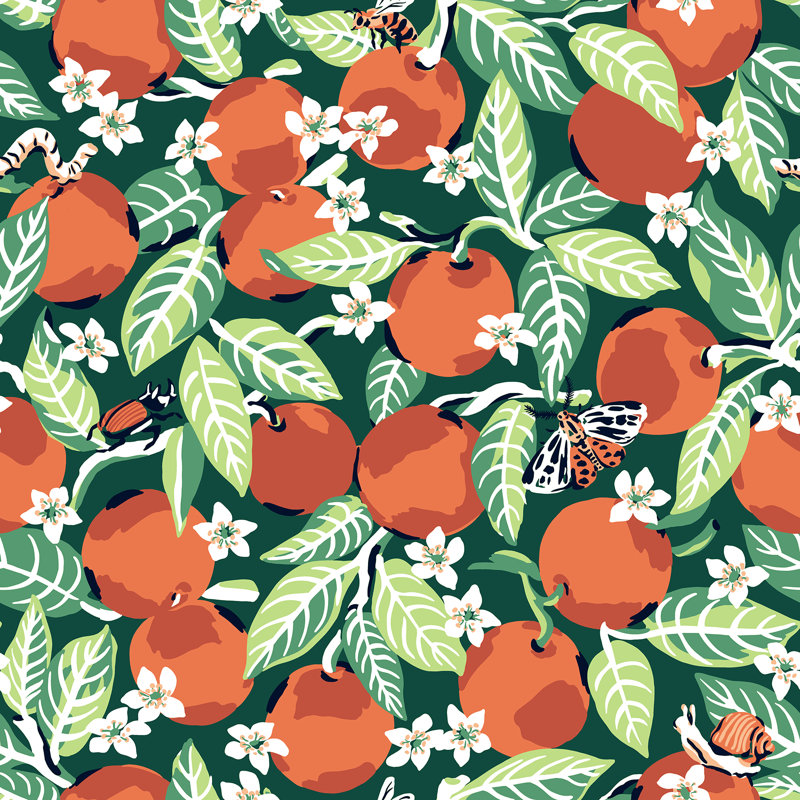 Papier peint adhésif ciel bleu orange Grove, Vert/orange