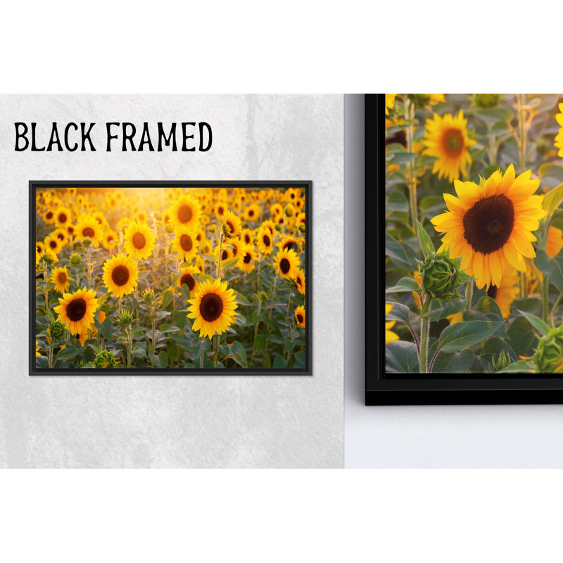 Reproduction d'art sur toile imprimée: tournesols élégants pour décor de ferme, 1P BlackFramedCanves, 47,3 po H x 102,4 po l