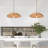 Ates 1 - Light Black Single Pendant