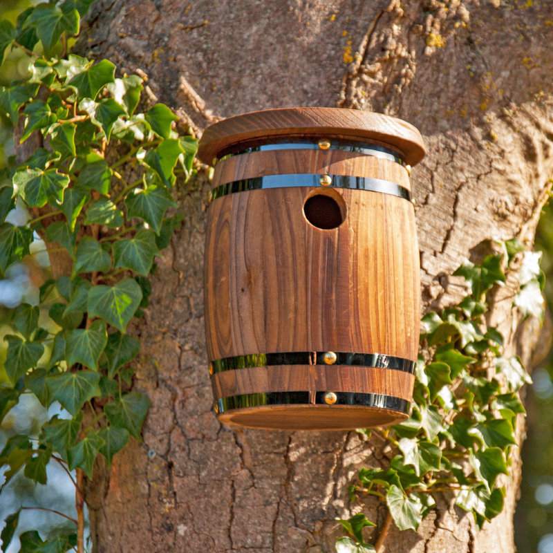 Strassen Mounted Birdhouse