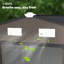 Remise pour outils, remise de jardin-124334011