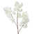 White selected
