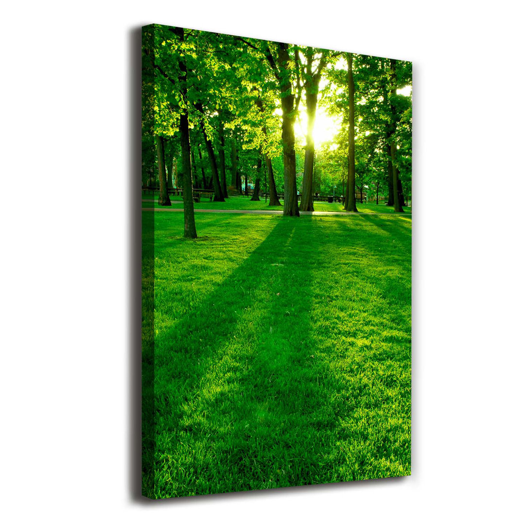 Sonne im Park - Kunstdrucke auf Leinwand - Wrapped Canvas