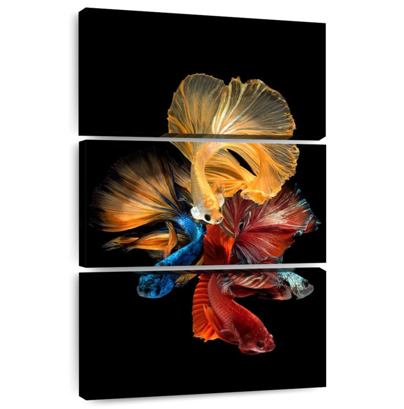 Brampt qui coule des poissons Betta, H 50 po x l 32 po