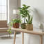 Jardinière ronde SM - brun foncé-131418259