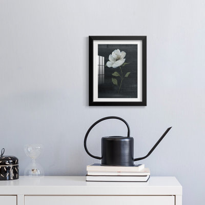 Mandragore -Gallery Wrapped Canvas