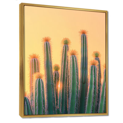 Markeitha pastel cactus au lever du soleil I - décoration murale cactus