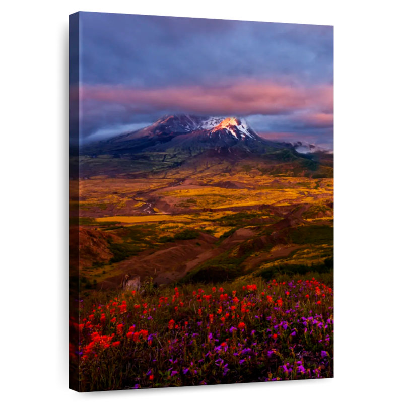 Fleurs sauvages du mont Helens, H 51 po x l 34 po