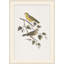 Nautical Map 1 Print-1929719336