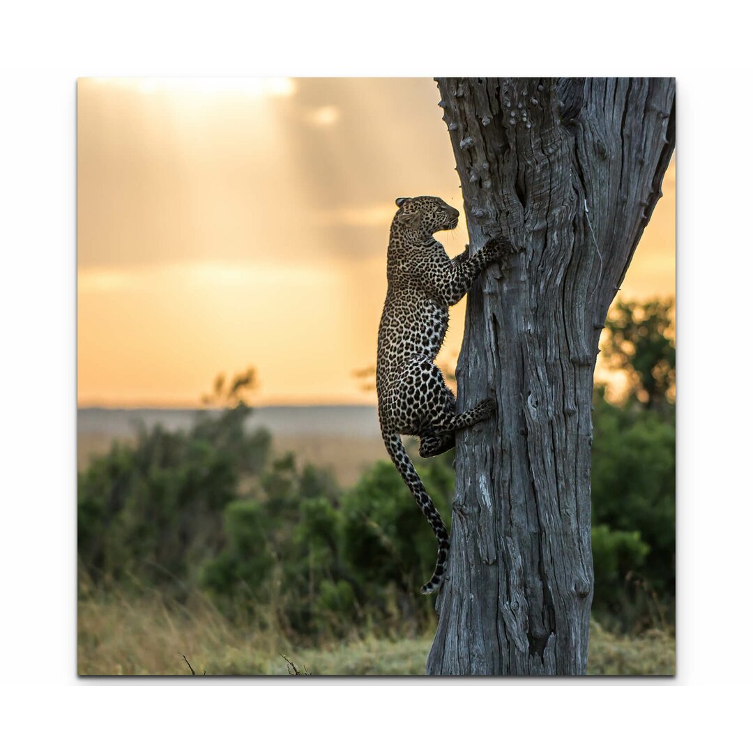 Leinwandbild Leopard auf einem Baum