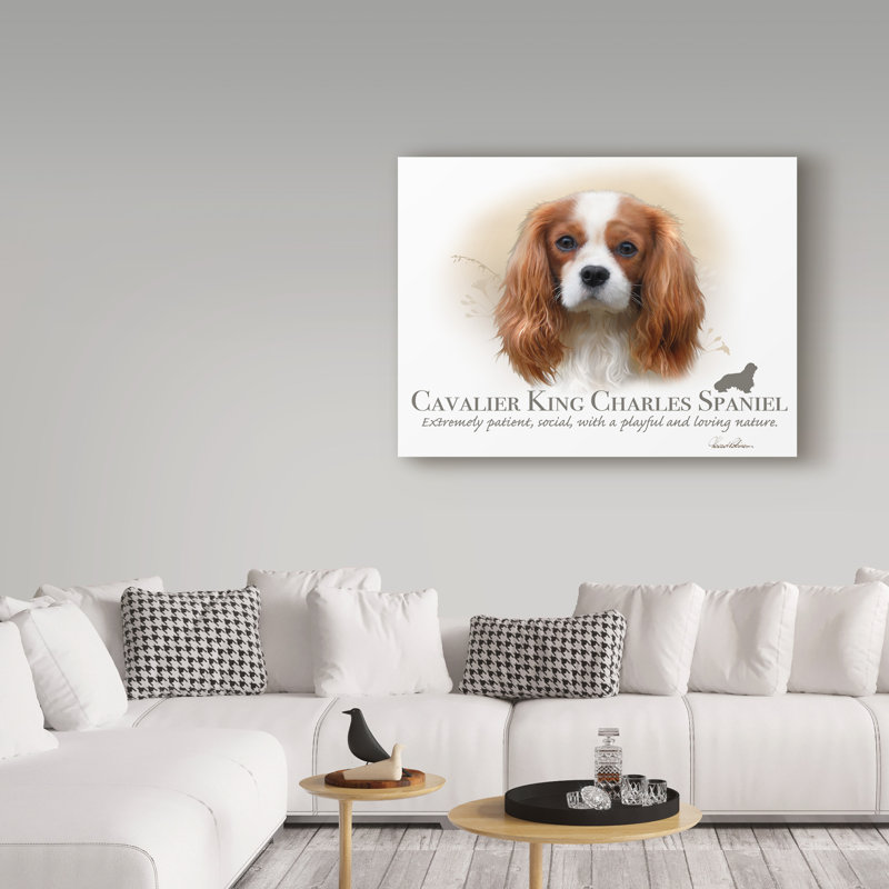 « cavalier king charles épagneul », reproduction d’impression sur toile tendue, H 14 po x l 19 po x p 2 po