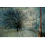 "Yosemite" par Parvez Taj, reproduction d'art sur toile tendue-9118220