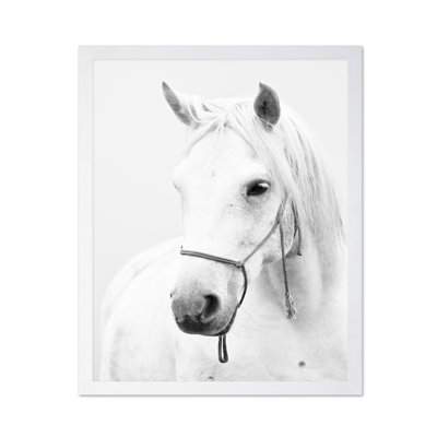 Portrait de cheval blanc