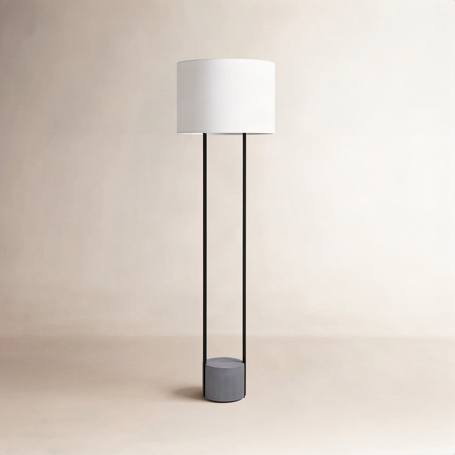 Arie 65.5'' Floor Lamp