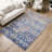 Machine Washable Indoor/Outdoor Chantille ACN2303 Casual Rug-509823305