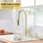 RENIST Yorba Pull Down Kitchen Faucet with Soap Dispenser-62941107